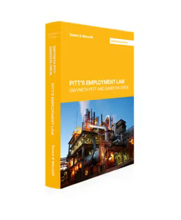 Pitt's Employment Law, 14th Edition by Professor Gwyneth Pitt | 2026*