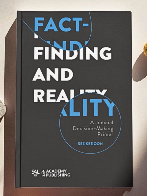 Fact-Finding and Reality : A Judicial Decision-Making Primer | 2022