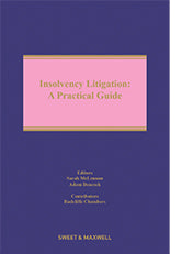 Insolvency Litigation: A Practical Guide freeshipping - Joshua Legal Art Gallery - Professional Law Books
